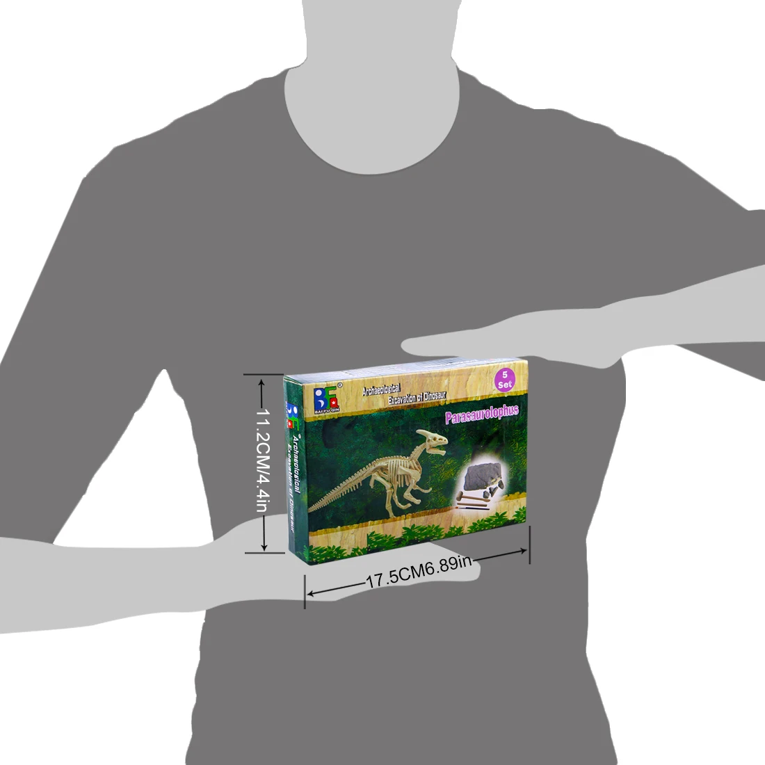 Parasaurolophus Children Creative Educational Dinosaur Archaeology Excavation Science History Educational Toys For Children