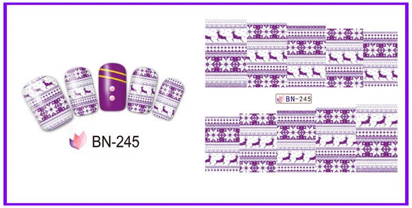 BN-245