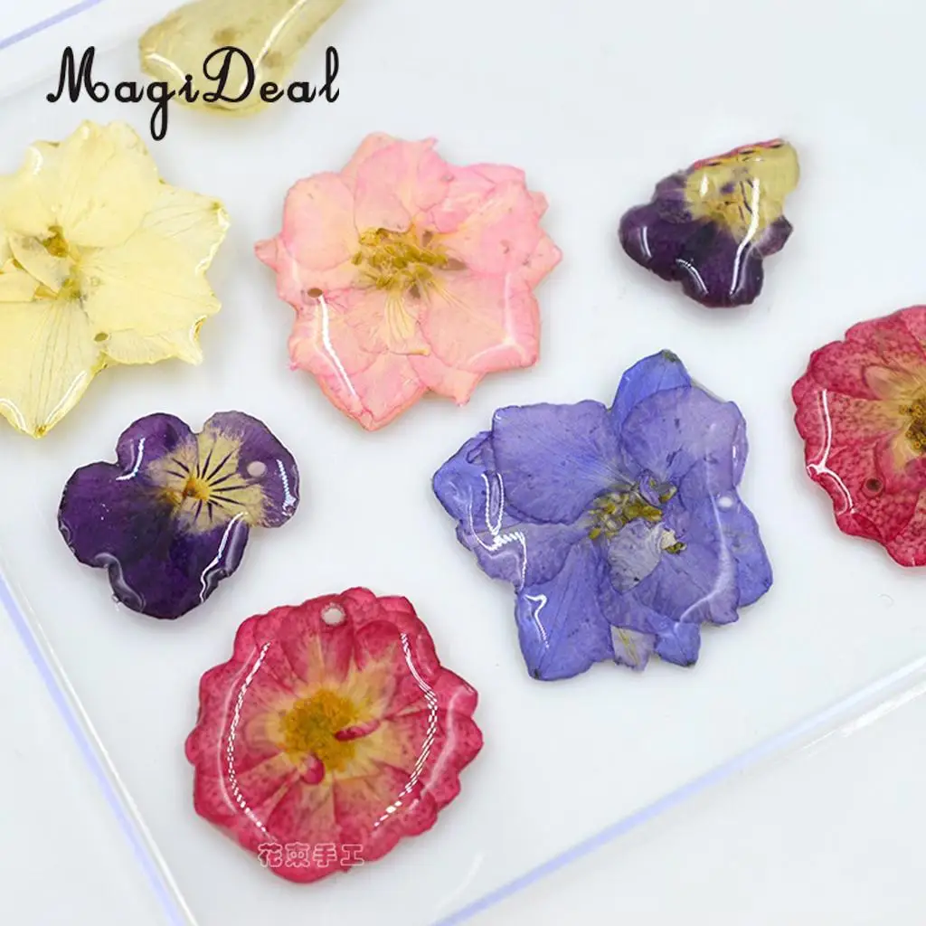 10 / 20Pcs Beautiful Real Pressed Rose Petal Babysbreath Flowers Dried Flowers for Art Craft Scrapbooking DIY Resin Jewelry