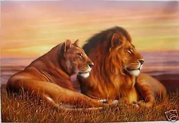 

Handicrafts Repro oil painting:"Two Lion On Canvas "(no framed)