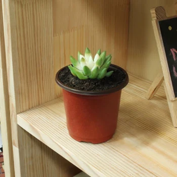 

Fall Seedling Tray 100pcs Pot Set Ornament Red+Black Decoration Nursery Transplant Brand New