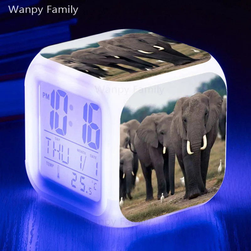 商标14