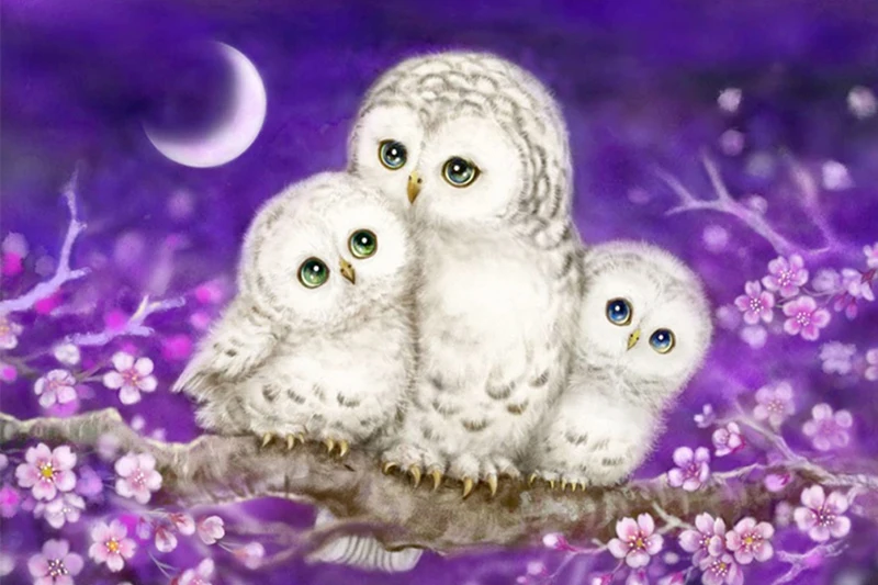 HUACAN-Full-Lovely-Owl-Diamond-Painting-Mosaic-Bedroom-Decor-Embroidery-Cross - 