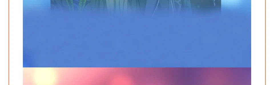 3_06