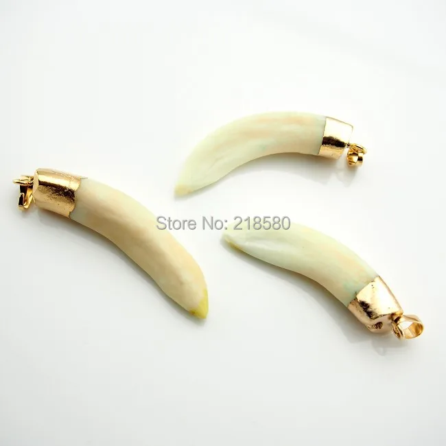 

PS0581 Naturally Colected Animal Coyote Wolf Fang Tooth Pendant with Gold Electroplated Edge