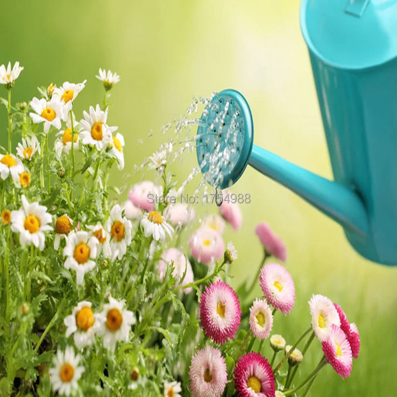 fantastic water props.jpg