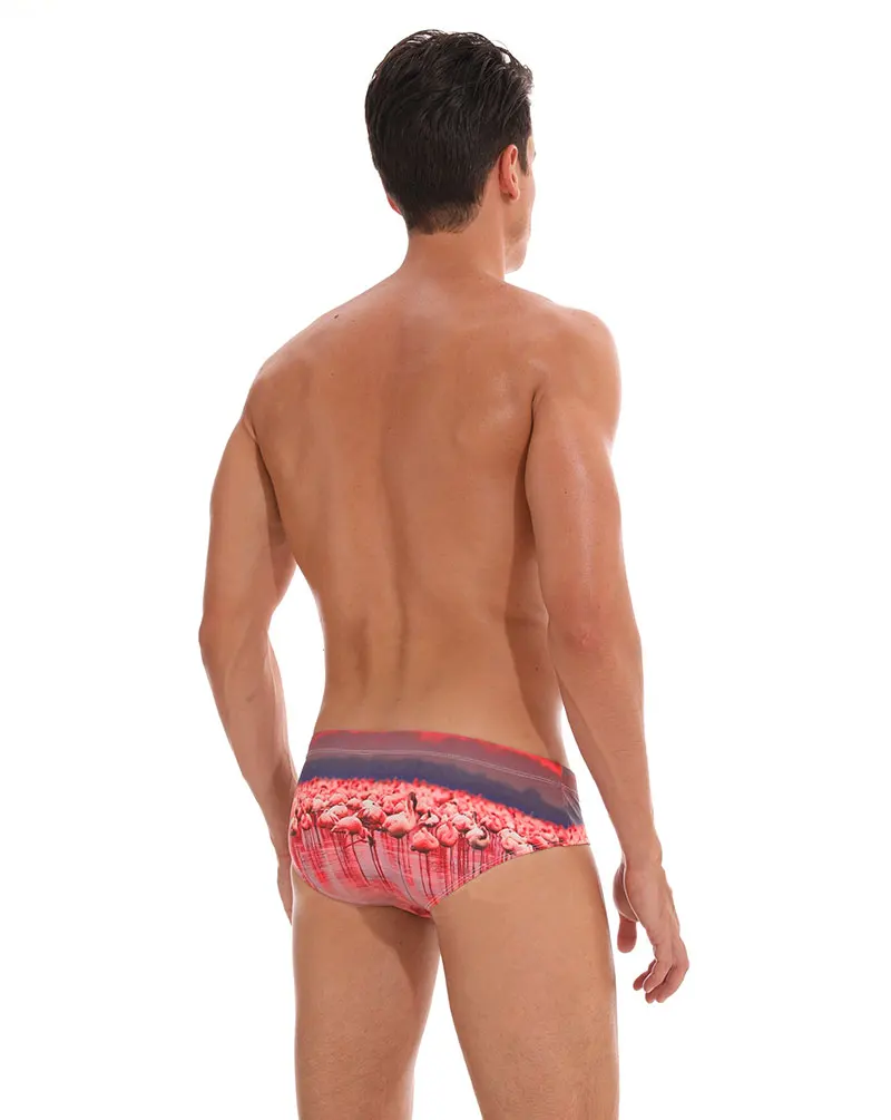 Escatch/Новые летние пляжные шорты с принтом фламинго, мужские купальники, короткие мужские купальники, купальный костюм sunga De Praia Homens