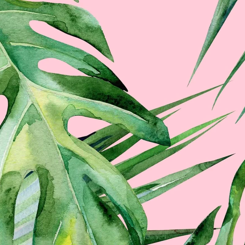 04_palm_kontakt-res - 