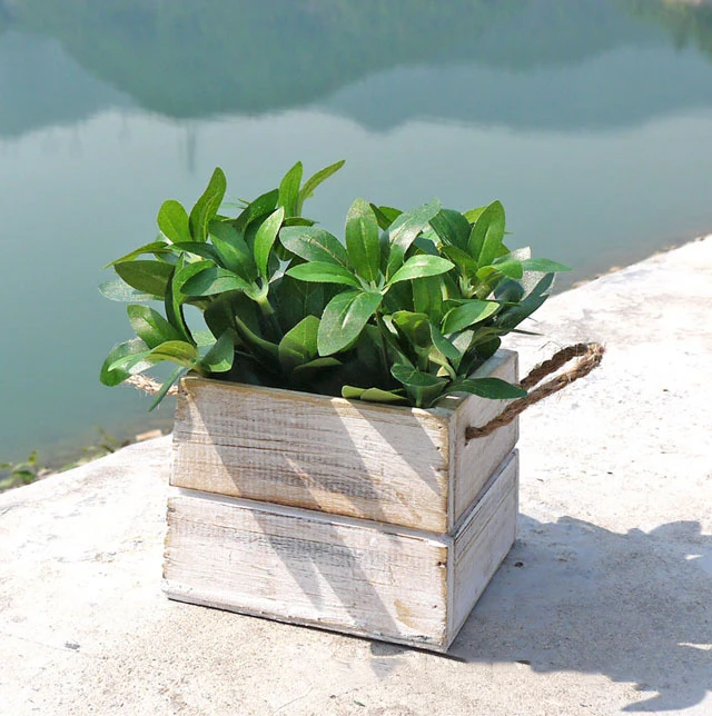 Nueva creativo micro jardÃn decoración del hogar de la vendimia de madera cuadrada jugosas plantas macetas.jpg Jardín creativo Decoración