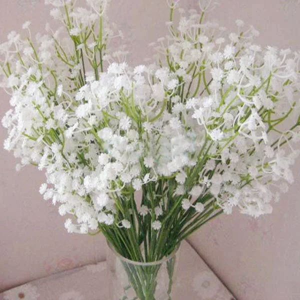 baby flower white