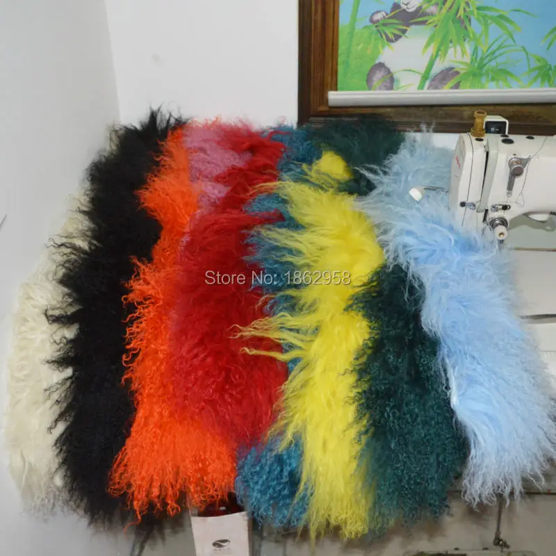 SJ006 (50)