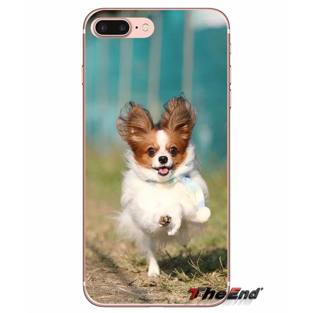 Чихуахуа собака щенок прозрачные чехлы из ТПУ для iPhone X 4 4S 5 5S 5C SE 6 6S 7 8 плюс samsung Galaxy J1 J3 J5 J7 A3 A5 - Цвет: images 4