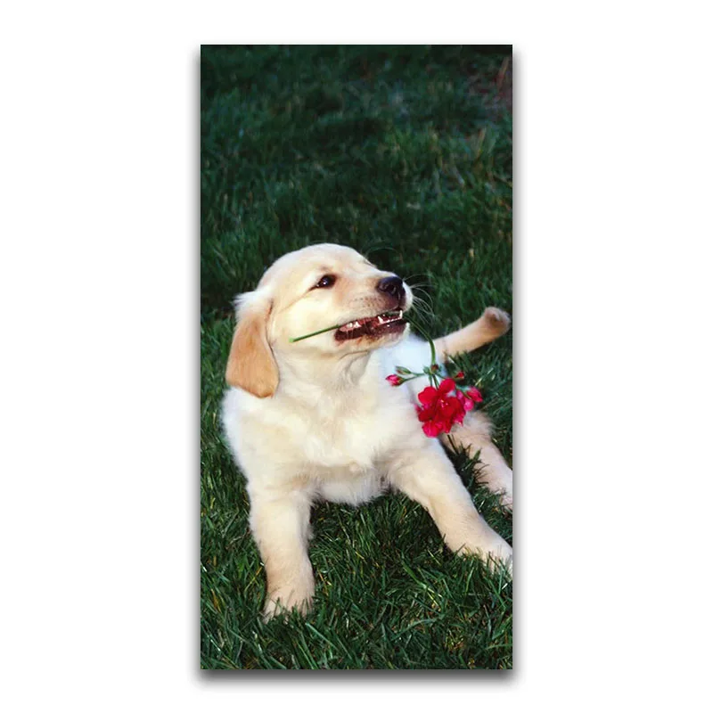 Full Round Diamond embroidery Animal dog 5D DIY Diamond painting Cross stitch colorful Full Square Diamond mosaic Puppy rose