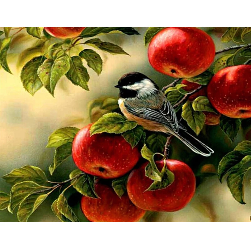 5d Diy Diamond Painting Cross Stitch apple and Bird Magpie Kits Diamond Embroidery 3D Patterns Mosaic Mazayka handwork Crafts (1)