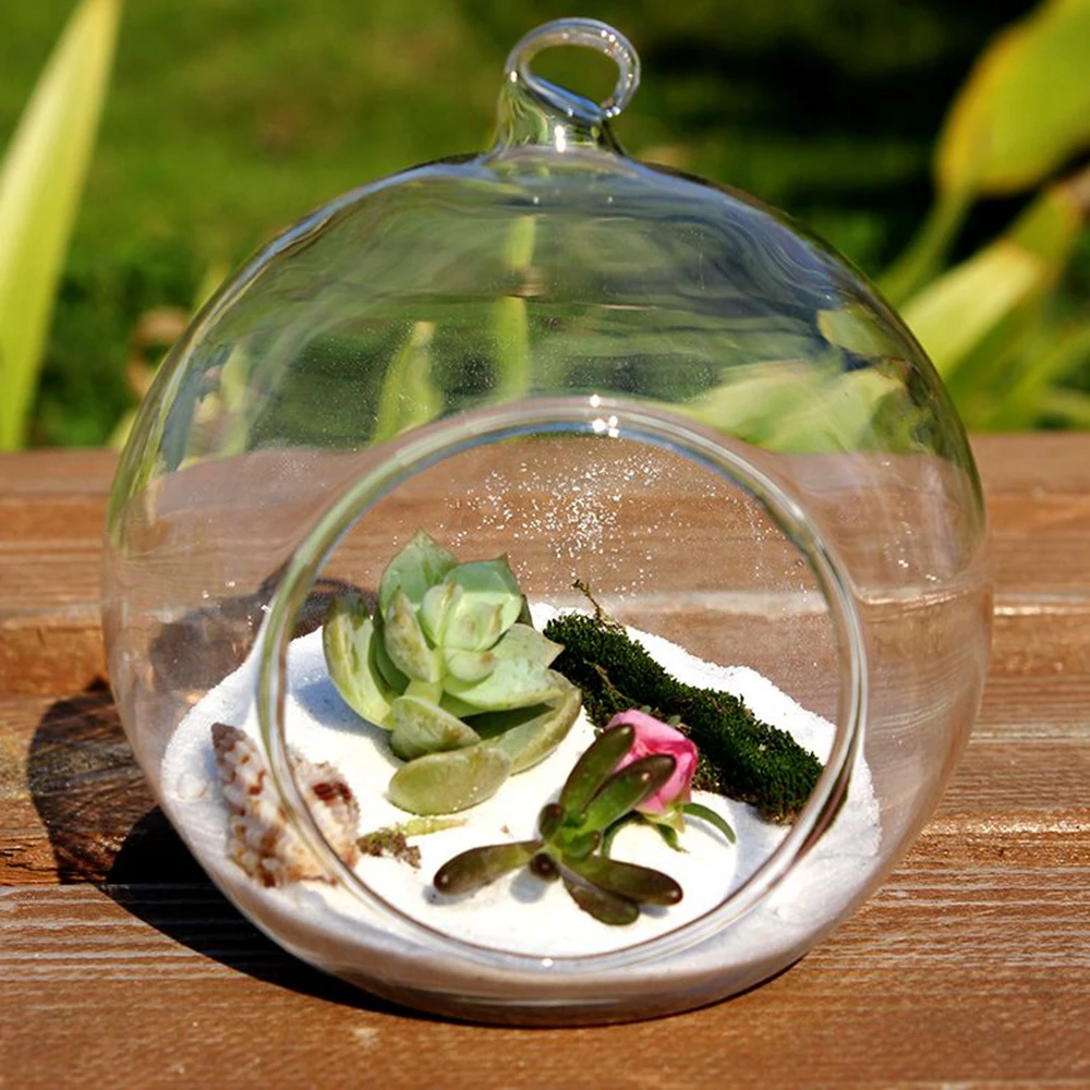 Buy Dia.= 8cm Hanging Glass Terrarium Desktop Flower