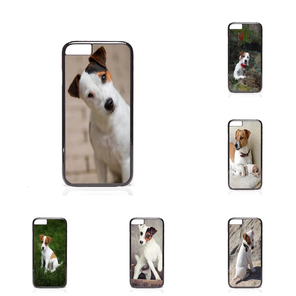 australian shepherd jack russell terrier online buy wholesale jack russel j5 from china jack russel j5 australian shepherd jack russell terrier online buy wholesale jack russel j5 from china jack russel j5