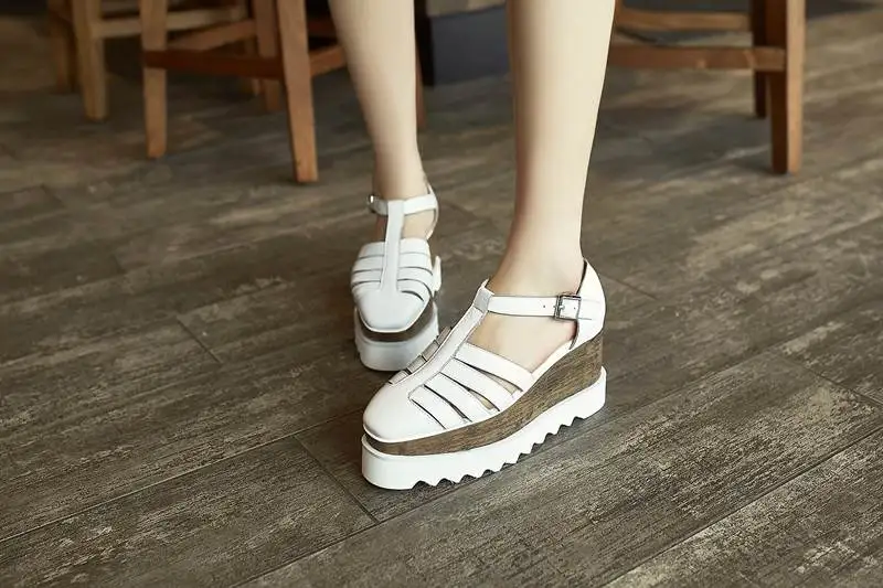 2X0A7804
