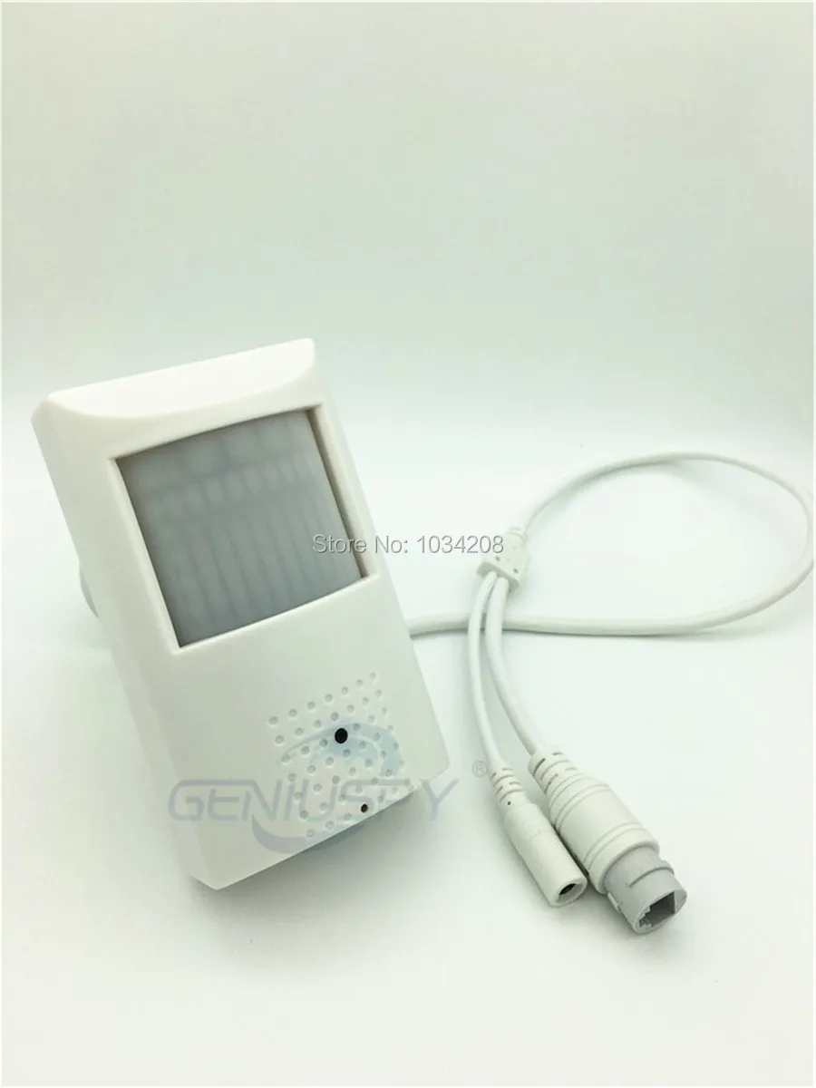 pir poe ip camera  ir13