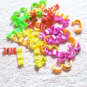 

100 Pcs Bird clip ring 2.7mm 3mm 4mm 4.5mm 5mm Plastic foot rings Colorful birds, Acacia birds pigeon All kinds of bird