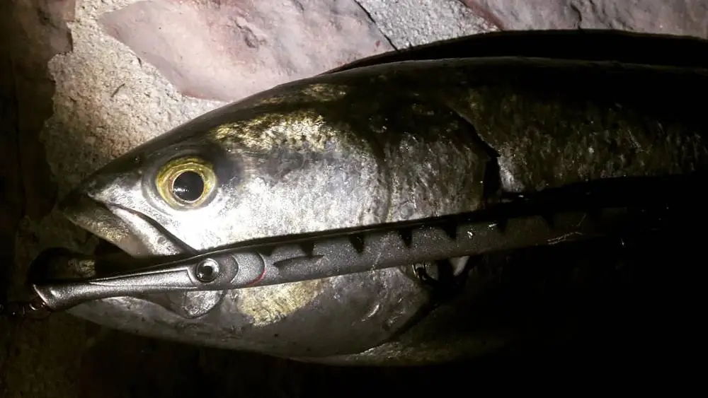 Hunthouse الصيد إغراء باراكودا swimbait wobber قلم رصاص stickbait سحر العائمة البحر باس leerfish التونة الأزرق الأسماك لا Belone الطعوم Hunthouse الصيد إغراء باراكودا swimbait wobber قلم رصاص stickbait سحر العائمة البحر باس leerfish التونة الأزرق الأسماك لا Belone الطعوم