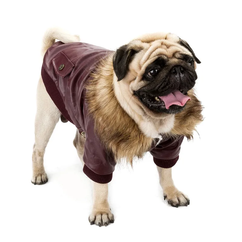 dog clothes leather (2)