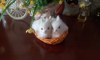 

simulation white rabbit 11x7 cm Handmade model,polyethylene&furs 2 rabbits toy in one basket,Prop,home decoration gift w4096