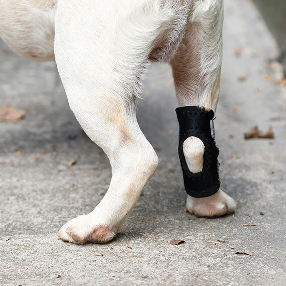 

Dog Canine Front Leg Brace Paw Compression Wraps Protects Wounds Brace Heals Prevents Injuries Sprains Helps Arthritis