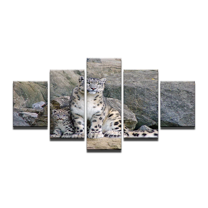 5 Piece Wall Art Painting Snow Leopard Sit On Sand And Back To