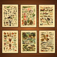 Pósteres Vintage Adolphe Millot Encyclopedia Reptiles Crayfish Classic lienzo pinturas pegatinas para la pared del cuarto de niños Decoración