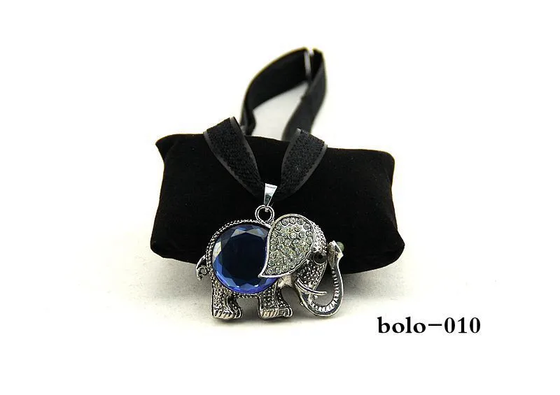 bolo010