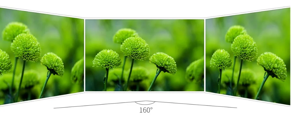 field-video-monitor