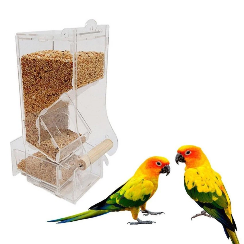 Buy Feeder Bird Automatic Feeders Bird Food Ontainer