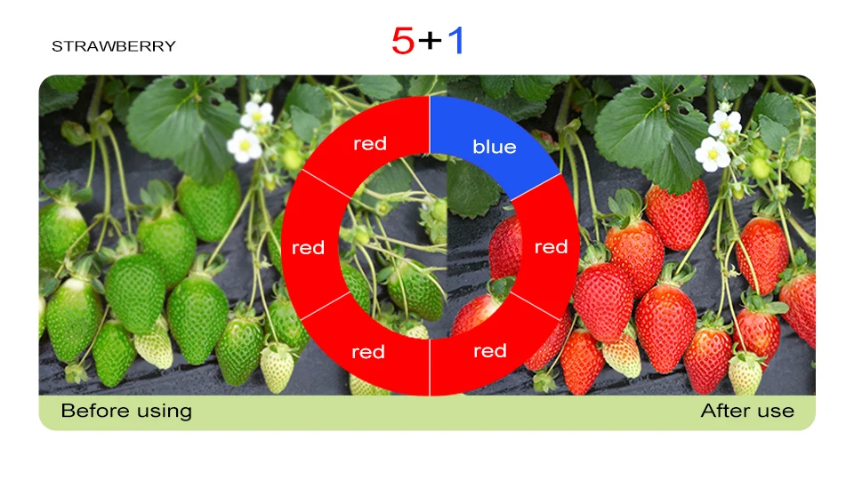 LED Grow Light Strip Tape Set DC12V Phytolamp Touch Switch Fitolamp (14)