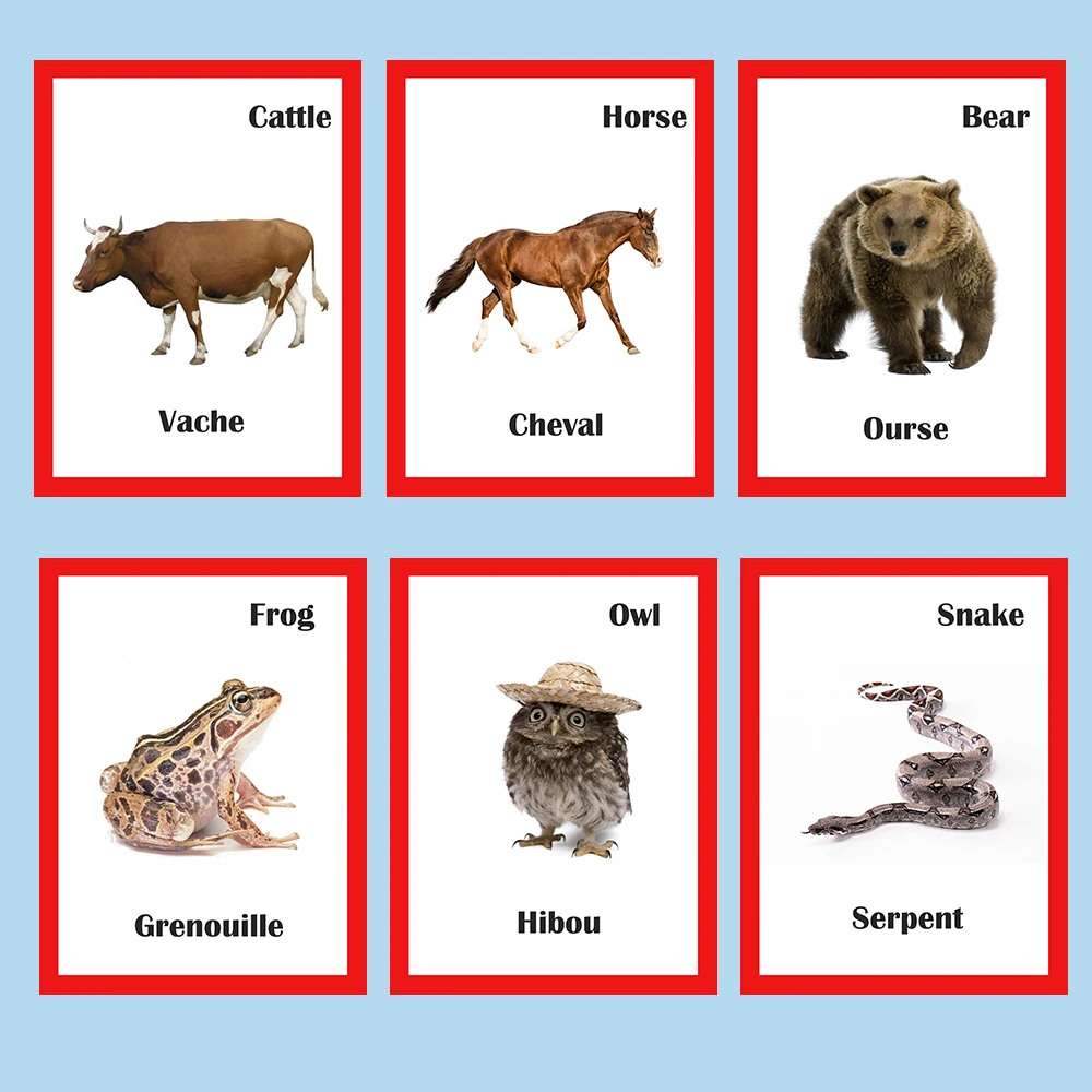 Jogos de Quebra-cabeças para Crianças Montessori Francês Inglês Palavra Animais Aprendizagem Cartão Flashcards Juguetes Educativos Bebê Brinquedo - 5 Crianças Montessori Francês Inglês Palavra Animais Aprendizagem