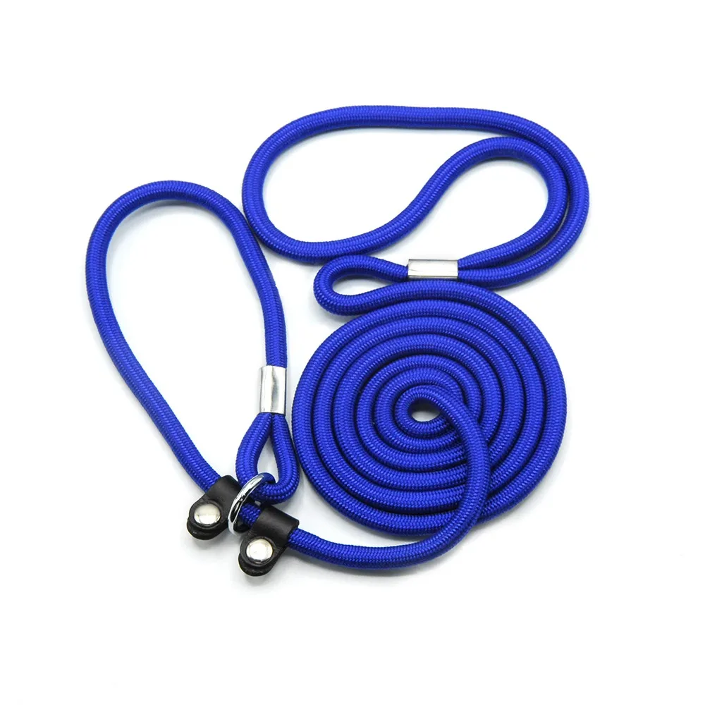 Dog Leashes For Small Dogs Nylon Puppy Leashes Chihuahua Pet Training Leads Collar For Dogs Cats Leash For Dogs Accessory py0229 (4)