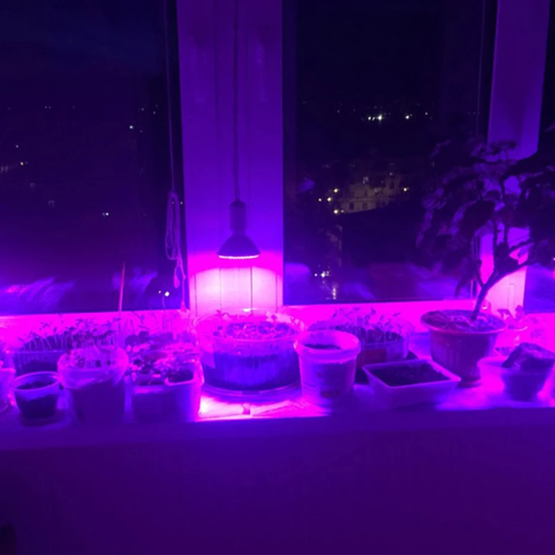

Litwod Z10 220V E27 Full spectrum Plant Grow Light Bulb Lamp for Seeds hydro Flower Greenhouse Veg Indoor garden hydroponics