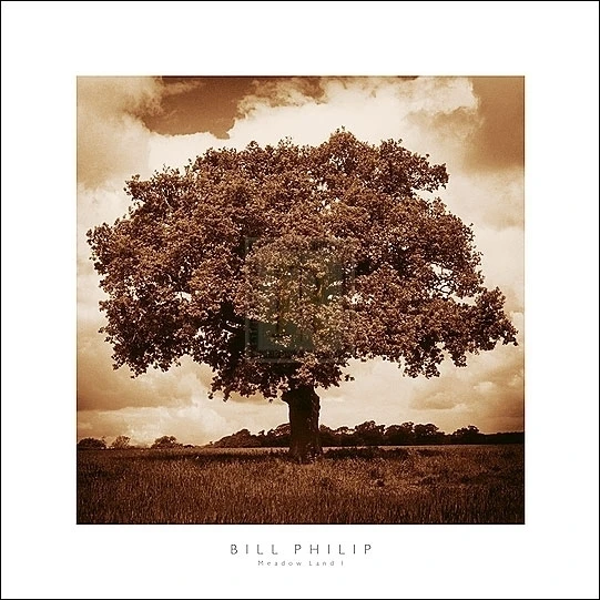 Meadow Land I Poster Print by Bill Philip (24 x 24)