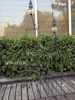Garden Supplies