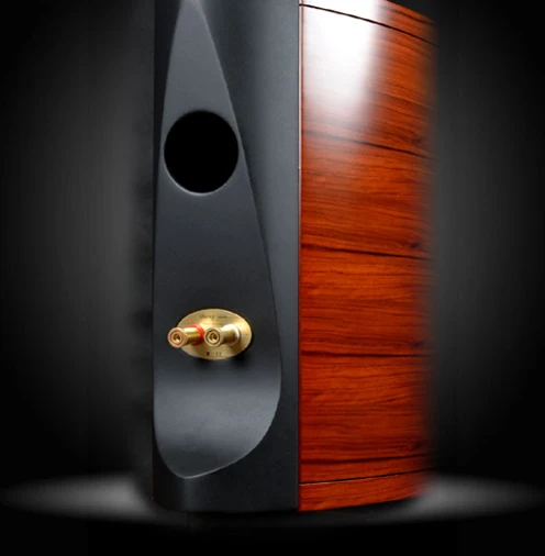 SS 001 Scan Speak 950000 970000 662000 6 5 'ཎW8545 01 беззвучный NE180W 08 Midwoofer DIY 5'' книжная полка