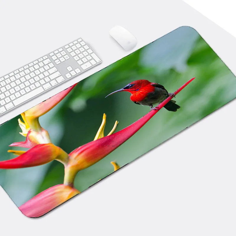 Congsipad красивые животные Коврик для мыши с рисунком орла птицы коврик Размер XL Bige