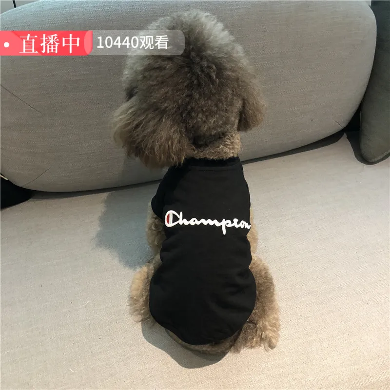 

Teddy Wear Summer Wear Thin Champion Embroidery Summer