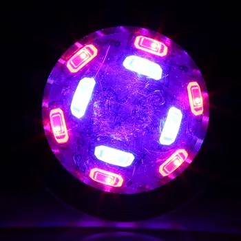 

1 pcs 85-265V Flower Plant Grow Light Convex Bulb Lamp 6/10LED E27/E14/GU10 Optional