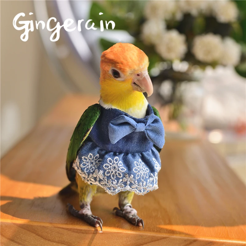 Gingerain одежда с птицами и попугаями оригинальная кружевная юбка пачка ручной