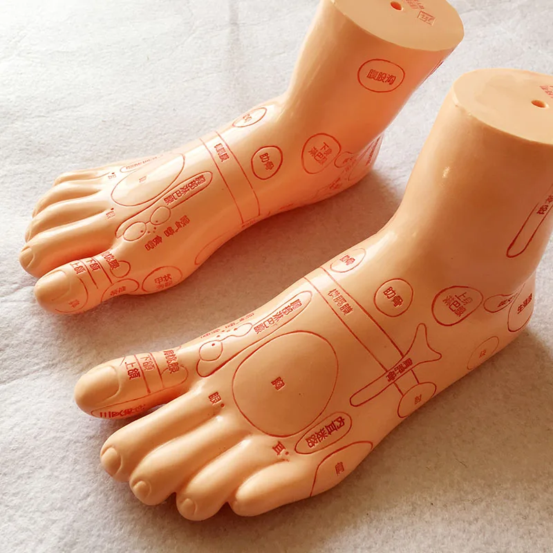 

19cm Foot reflex zone massage model, not acupuncture model, Chinese language characters TCM Feet Reflexology, 1 pair