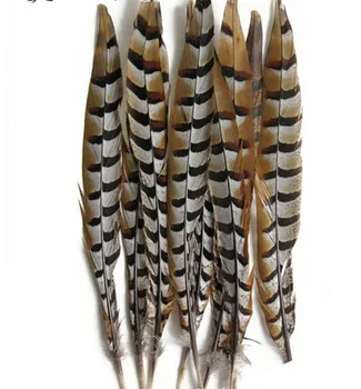 

wholesale 50pcs/lot Large Size 25-30cm (10-12inch) Natural Reeves Venery Pheasant Tail Feathers