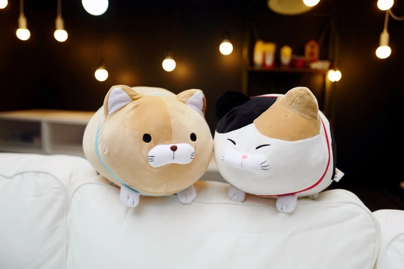 HTB1jb7ScDJYBeNjy1zeq6yhzVXaK