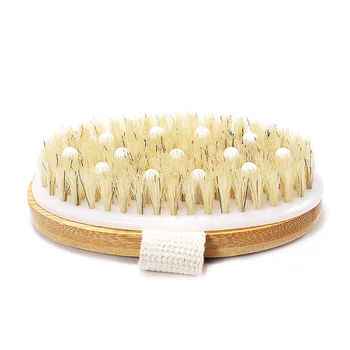 

2-in-1 Dry/Wet Body Massage Brush Remove Dead Skin Toxins Cellulite Treatment Exfoliates Stimulates Blood Circula Skin Care Tool