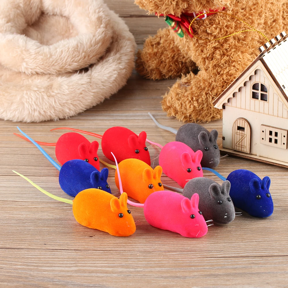 cat play mouse