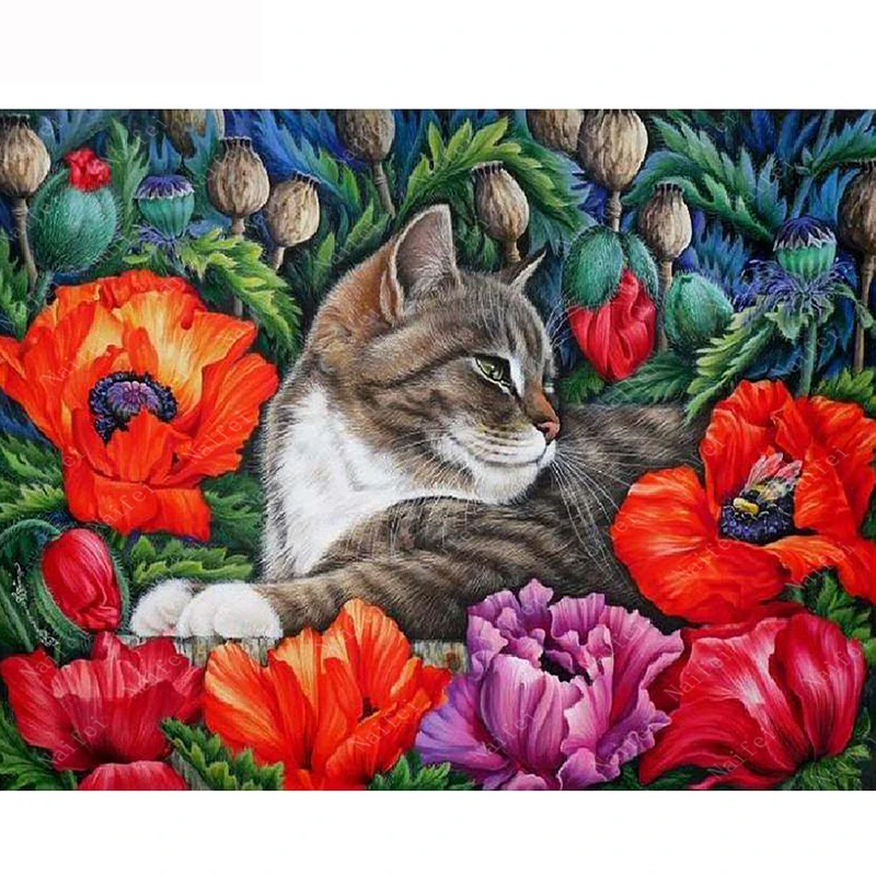 5d-Diy-Diamond-painting-cross-stitch-kits-flower-diamond-embroidery-Cat-and-poppy-diamond-embroidery-mosaic LK1