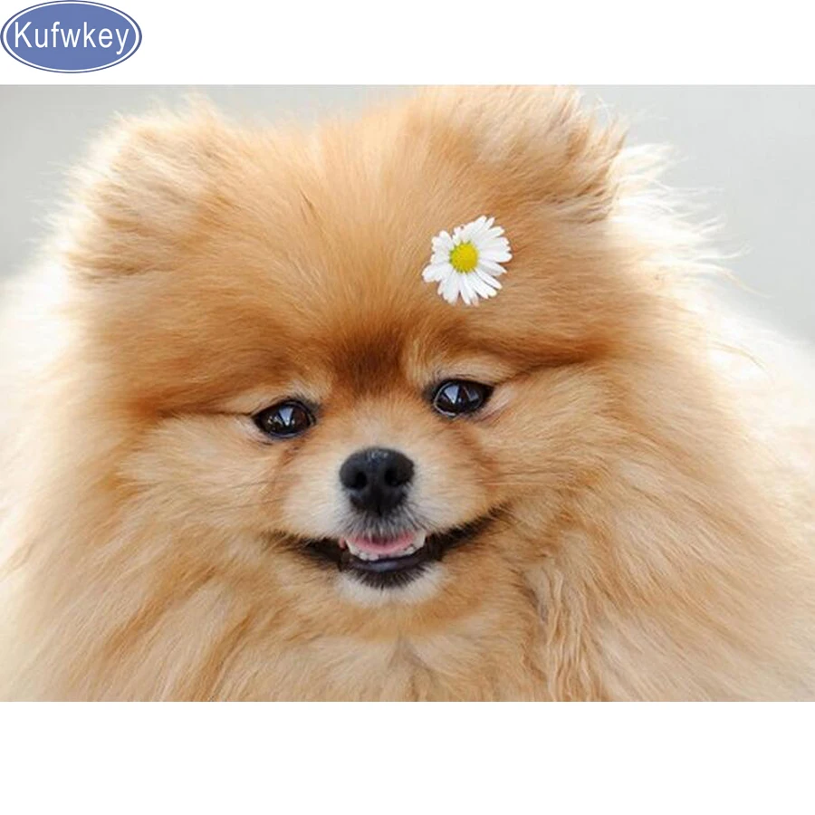 

5d Diy Diamond Painting pomeranian Full Diamond Embroidery cute dog 3d Cross Stitch Rhinestone Mosaic Painting home Decoration